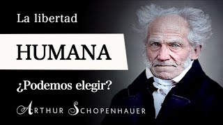 ¿ERES LIBRE Arthur Schopenhauer  Filosofía del LIBRE ALBEDRÍO y la VOLUNTAD HUMANA Parte I [upl. by Pammy]