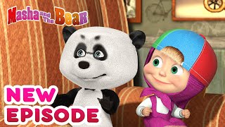 Masha and the Bear 💥🎬 NEW EPISODE 🎬💥 Best cartoon collection 🎪 Variety Show [upl. by Esiouqrut947]