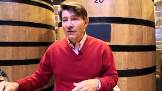 Demystifying the wines of Burgundy [upl. by Jennifer]