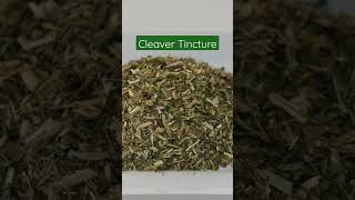 Cleavers Tincture Benefits amp Uses [upl. by Annadal]