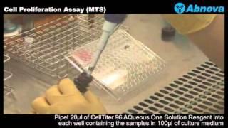 Cell Proliferation Assay MTS [upl. by Idnyc]