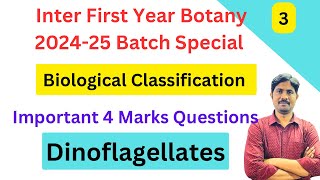 Dinoflagellates  Biological Classification Important Marks Questions  Inter First Year Botany [upl. by Kosse]