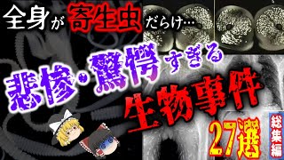 【閲覧注意】恐怖の実例寄生虫に侵された人々の末路…驚愕・悲惨な生物事例 27選生物が巻き起こした爆発・大騒動脅威の生物発見本当にあった怖い話【リライト総集編ゆっくり解説】【睡眠用・作業用】 [upl. by Edorej]