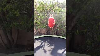 How many flips can I land in a row ninja parkour trampoline [upl. by Carpet162]