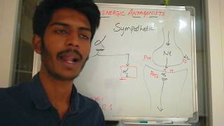 Adrenergic Antagonist part 1 [upl. by Zwart]