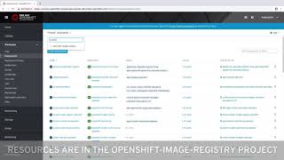 OpenShift 4 Container Image Management [upl. by Scarito]