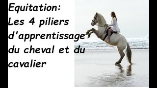 équitation les 4 piliers de lapprentissage [upl. by Lubow]