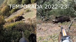 CAZA DEL JABALÍ EN NAVARRA Y ARAGÓN TEMPORADA 2022 23 40 LANCES A JABALÍ 🐕🐗 [upl. by Utimer]