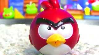 Epic Angry Birds War  Must See [upl. by Vashtee]