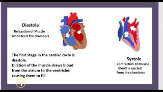 3 Minutes La CMH Obstructive Dilatée Causes Génétique Traitement Cardiomyopathie hypertrophique [upl. by Adriano358]