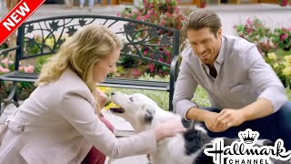 Best Hallmark Christmas Movies  New Hallmark Romance Movies 2024  Hallmark Christmas Movies [upl. by Ahusoj]