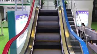 Our factory’s complete escalator run in the Exhibition now [upl. by Ole]