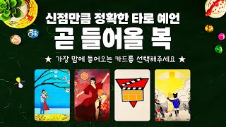 타로 곧 들어올 복에 대해서 신점같이 잘 맞는 소름돋는 예언을 들어볼게요 [upl. by Meehsar]