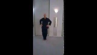 Seidenübungen Chen Taijiquan Ausbilder Andreas Schmidt [upl. by Neeleuqcaj]