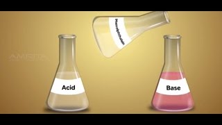 Acids and Bases  Class 10 Tutorial [upl. by Ffilc]