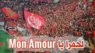 Lhamra Ya Mon Amour  لحمرا يا مونامور • أداء رائع لجماهير وينرز Wydad vs Horoya [upl. by Nonnair]