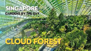 Exploring Gardens By The Bay  Cloud Forest  Day 2 Singapore Itinerary [upl. by Joachima167]