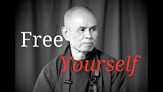 Free Yourself  Teaching by Thich Nhat Hanh [upl. by Hy]