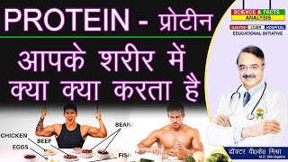 प्रोटीन आपके शरीर में क्या क्या करता है  WHAT PROTEIN DOES FOR YOUR BODY [upl. by Tjader]