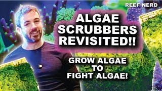 Algae Turf Scrubbers Revisited  Grow Algae to Fight Algae [upl. by Aretahs]