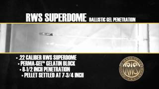 RWS Superdome Pellet  Ballistics Gel Penetration test [upl. by Fischer]