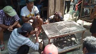 mengintip pasar burung Gandrung Mangu Cilacapmurah 10 ribu dapat burung perkutut [upl. by Ogilvy]