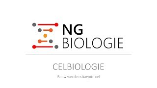 Celbiologie  bouw van de eukaryote cel  HAVOVWO [upl. by Guinn]