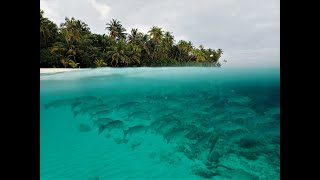 MALEDIVY Filitheyo Island resort We were in paradise [upl. by Chatwin51]