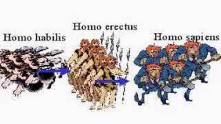 Homo habilis Homo erectus Allopatric Speciation [upl. by Nnylanna999]