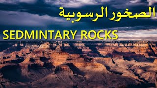 Sedimentary Rocks أنواع الصخور الرسوبية حسب نشأتها  شرح درس الصخور الرسوبية للثانوية 2022 [upl. by Oznole601]