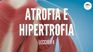 4 ATROFIA E HIPERTROFIA MUSCULAR FISIOLOGÍA MUSCULAR [upl. by Cosenza]