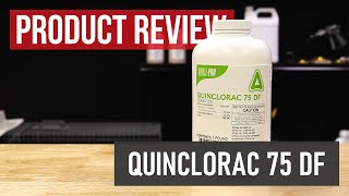 Quinclorac 75 DF Crabgrass Killer Product Review [upl. by Candide]