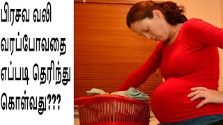 Prasava Vali SymptomsLabor Pain Symptoms before deliveryDelivery Pain Symptoms in Tamil [upl. by Notgnilra987]