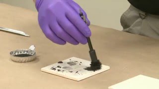 How to Process Latent Fingerprints Using Magnetic Powder [upl. by Milah]