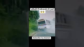 අම්මෝ ඒක😨 bus automobile shorts [upl. by Runstadler]