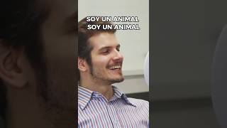 Los Cóndores NO se Suicidan animales [upl. by Manvel]