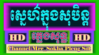 ស្នេហ៌ក្នុងសុបិន្ត ភ្លេង​សុទ្ធ  Sne Knong Soben  Karaoke  Khmer Cover By  PSRS950 [upl. by Enohs]