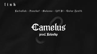 3 Camelus Prod Kolosky [upl. by Ellienad]