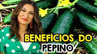 OS BENEFÍCIOS DO PEPINO  PEPINO COMO E QUANDO COMER [upl. by Wrdna]