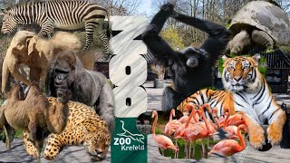 Zoo krefeld  krefeld zoo [upl. by Eniac]