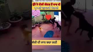 बच्चों कीजान बचाई 😱😱maje animallover dogs [upl. by Flori666]