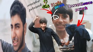 sab Ka 7 pranks Kia 👍bht Maza Aya😍🫀 ukasha Ka 7 bird prank Kia or Rafay Ka 7 snake prank Kia [upl. by Reham687]