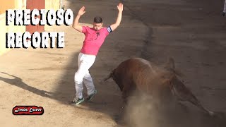 4 TOROS EN MUSEROS 14082023 [upl. by Eirruc]