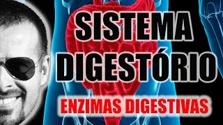 Sistema Digestório  Enzimas digestivas e processos químicos da digestão  Anatomia  VideoAula 026 [upl. by Yug]