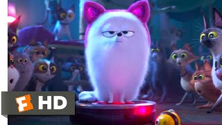 The Secret Life of Pets  The Owners Return Scene 1010  Movieclips [upl. by Whitney776]