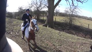 Alice and The Ledbury Hunt at The Hunters Inn Meet 6th March 2015 [upl. by Dido993]