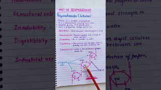 Biomolecules  class 12  video 31 chemistry ytshorts shortsvideo shorts [upl. by Enniroc233]