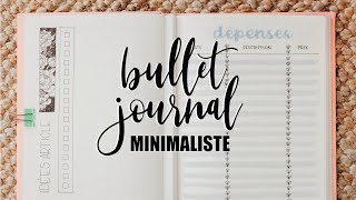 MON BULLET JOURNAL 2019 • Simple amp minimaliste [upl. by Yetti]