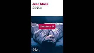 18  Sobibor  livre audio  Chapitre 18  Jean Molla  lecture et résumé [upl. by Riedel]