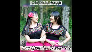 Pal arrastre Las Gemelas Navarrete 2024 [upl. by Mauldon]